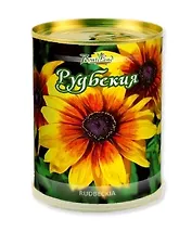 Цветок в банке "Рудбекия" (77005)
