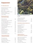 Земля непознанная. Загадки истории, тайны природы, игры разума - 1