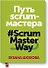 Путь скрам-мастера. #ScrumMasterWay - 0