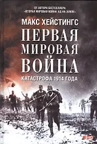 Первая мировая война: Катастрофа 1914 года