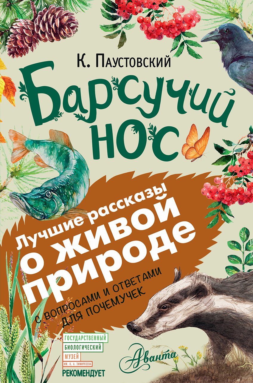 

Барсучий нос