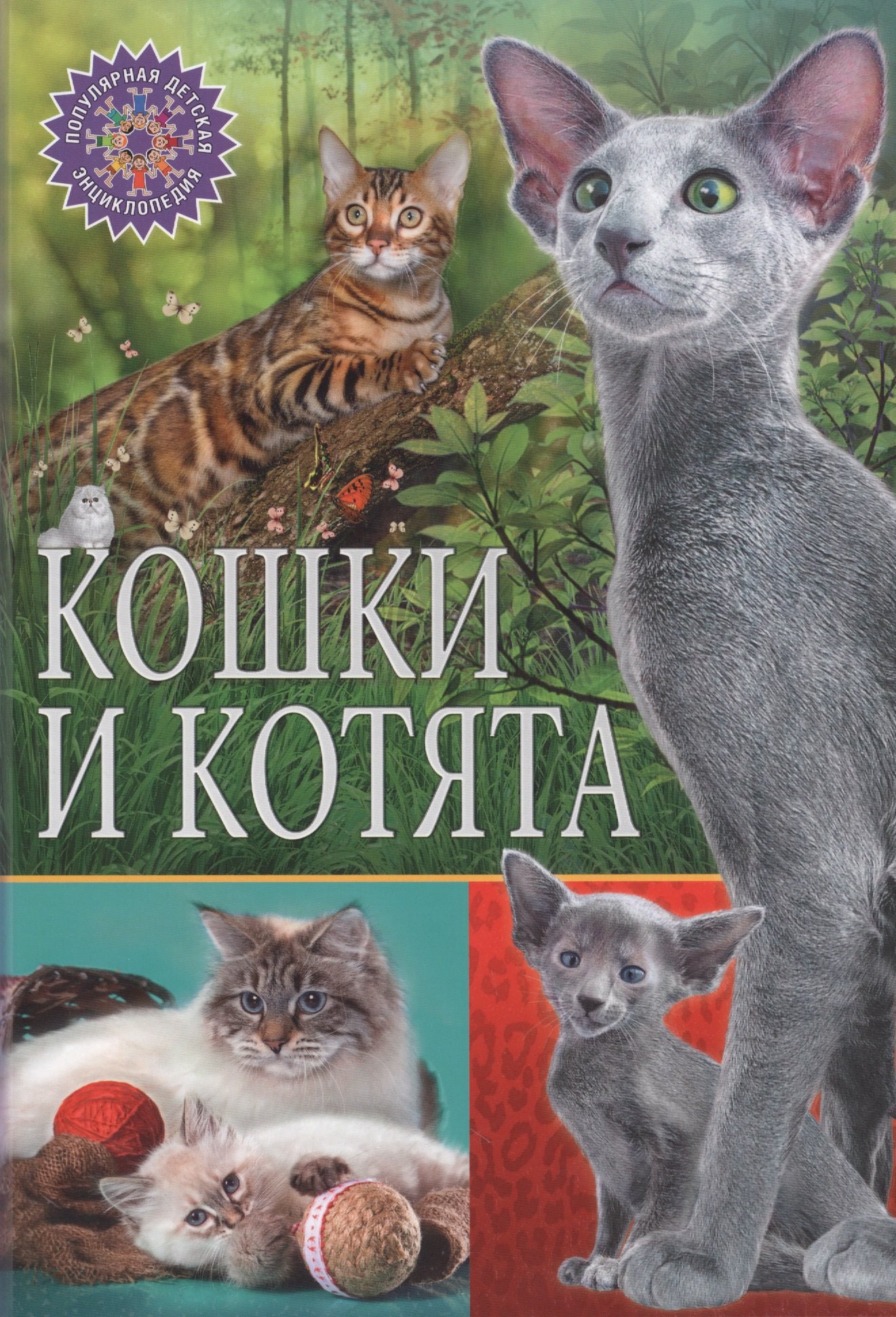 

Кошки и котята