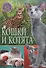 Кошки и котята - 0
