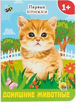 ЦК МИНИ. ДОМАШНИЕ ЖИВОТНЫЕ
