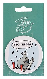 Зеркало Виды СПб Голубь под дождём (Город Ангела)