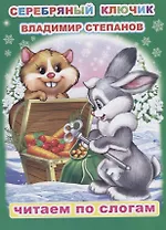 Серебряный ключик