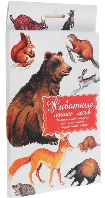 

Дидактические карточки Животные наших лесов