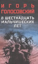 В шестнадцать мальчишеских лет: роман