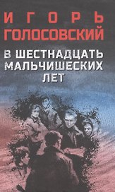 В шестнадцать мальчишеских лет: роман