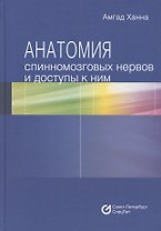 Анатомия спинномозговых нервов и доступы к ним