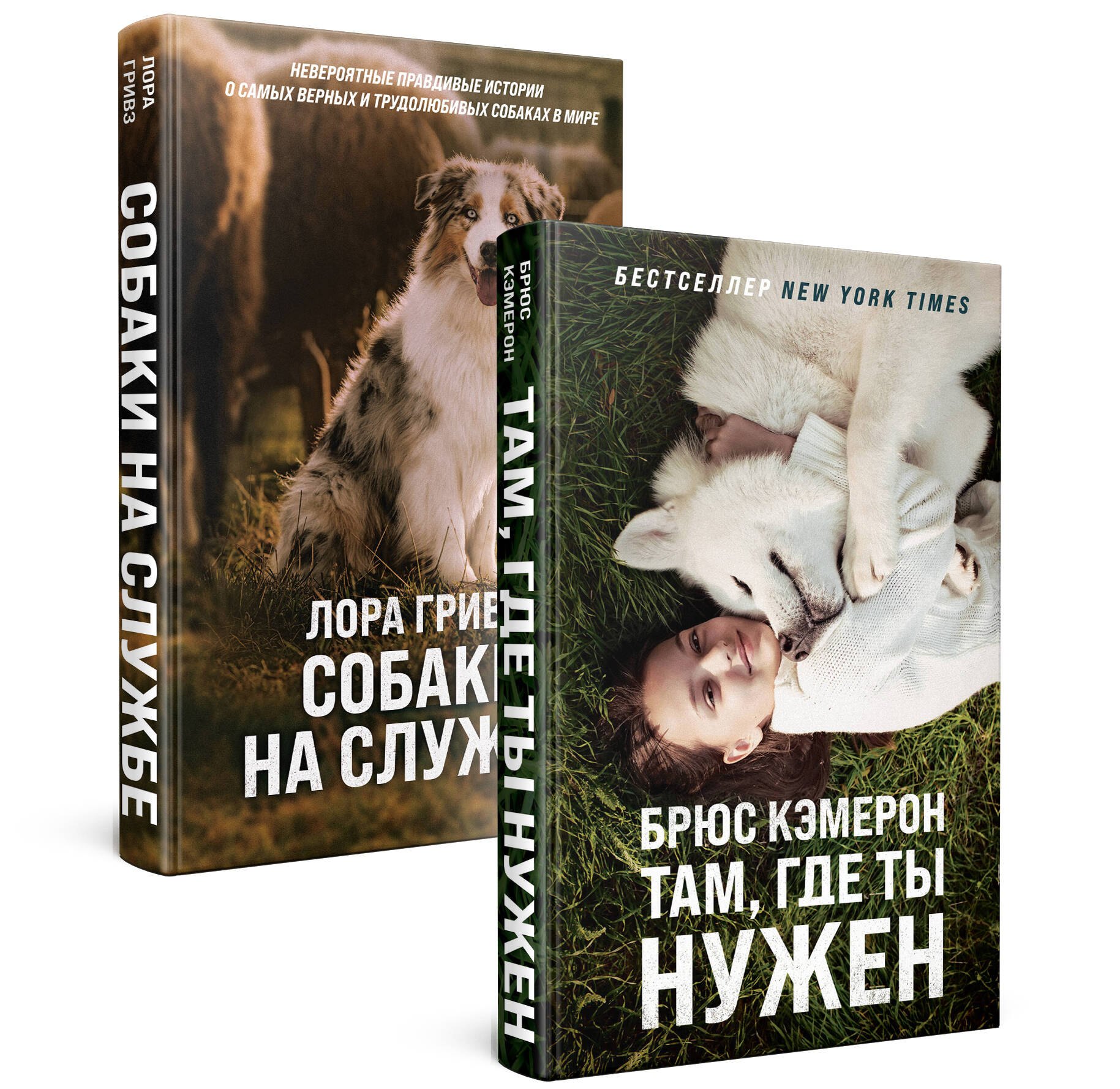 

Самый верный друг (комплект из 2 книг)
