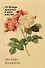 "И Флора уронила к ним цветок...": цветочные традиции и цветочный этикет в частной и общественной жизни России XVIII-начала XX века - 0