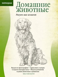 Домашние животные
