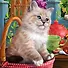 Алмазная мозаика "Котик в корзине", 20 х 20 см, 28 цветов, Рыжий Кот - 0