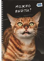 Тетрадь А4 80л кл. "Котики" мел.картон, твин-лак, наклейки, евроспираль