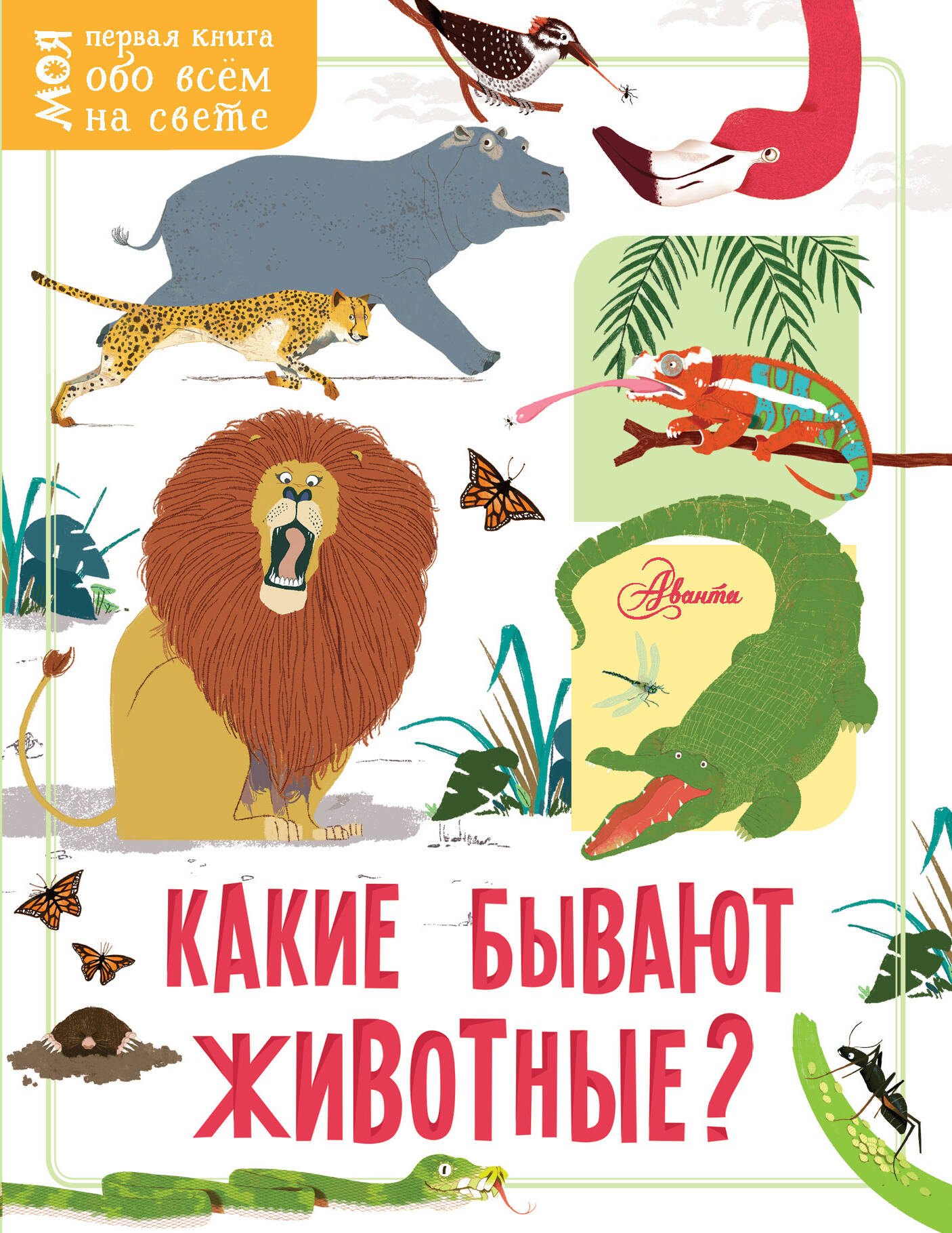 

Какие бывают животные