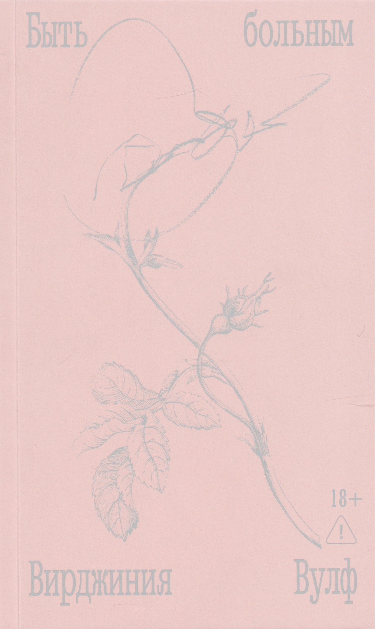 

Быть больным. Записки из комнат больных