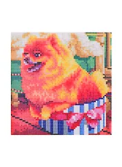 Алмазная мозаика Милый шпиц (AS20040) (20х20см) (c подр.) (с полн. заполн.) (блест.) (28цв.) (Рыжий Кот) (6+) (коробка)