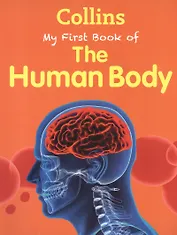 My First Book Of The Human Body