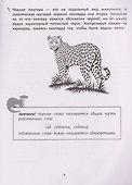 Грамотное письмо. Развитие орфографического навыка. 3 класс - 2