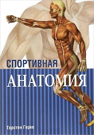 Спортивная анатомия