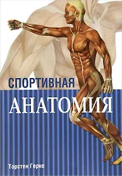 Спортивная анатомия