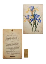 Плакетка Ирис (1PB_001) (18х12)