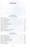 Зодчие: исторический роман - 2