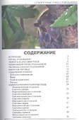 Сухопутные раки-отшельники (цвет) - 1