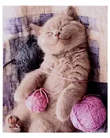 Набор для творчества Алмазная мозаика "Котенок с клубком", 40 х 50 см