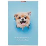 Тетрадь в клетку Academy Style, "Кто молодец?", А4, 80 листов