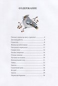 Лесное ожерелье. Рассказы о природе . Илл. Е. Чарушиной-Капустиной - 1