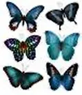Наклейки для дома, Декоретто, Бабочки, Голубая симфония