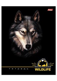 Тетрадь 48л кл. "Wild Life" выб.лак, ассорти, Hatber