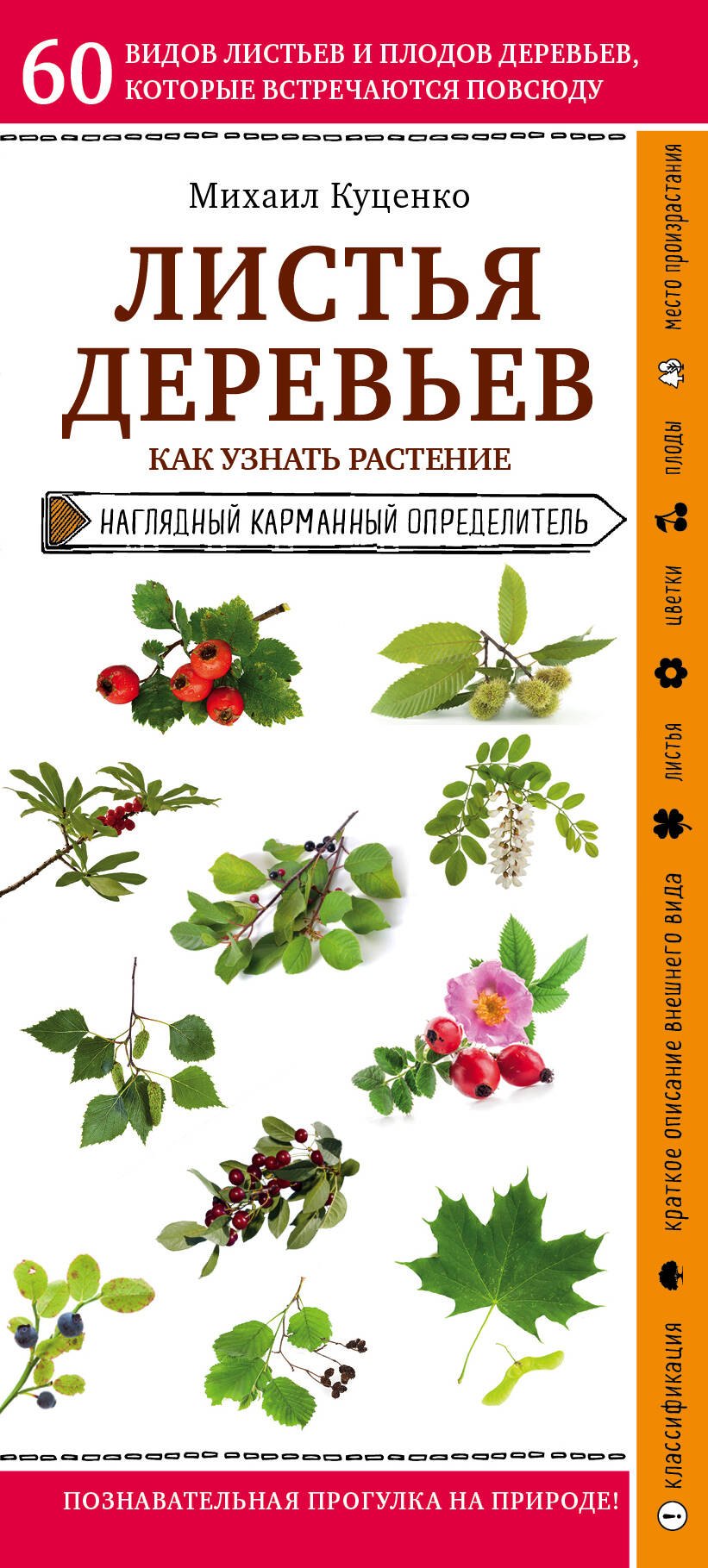 Естественные науки  Буквоед Листья деревьев. Как узнать растение. Наглядный карманный определитель