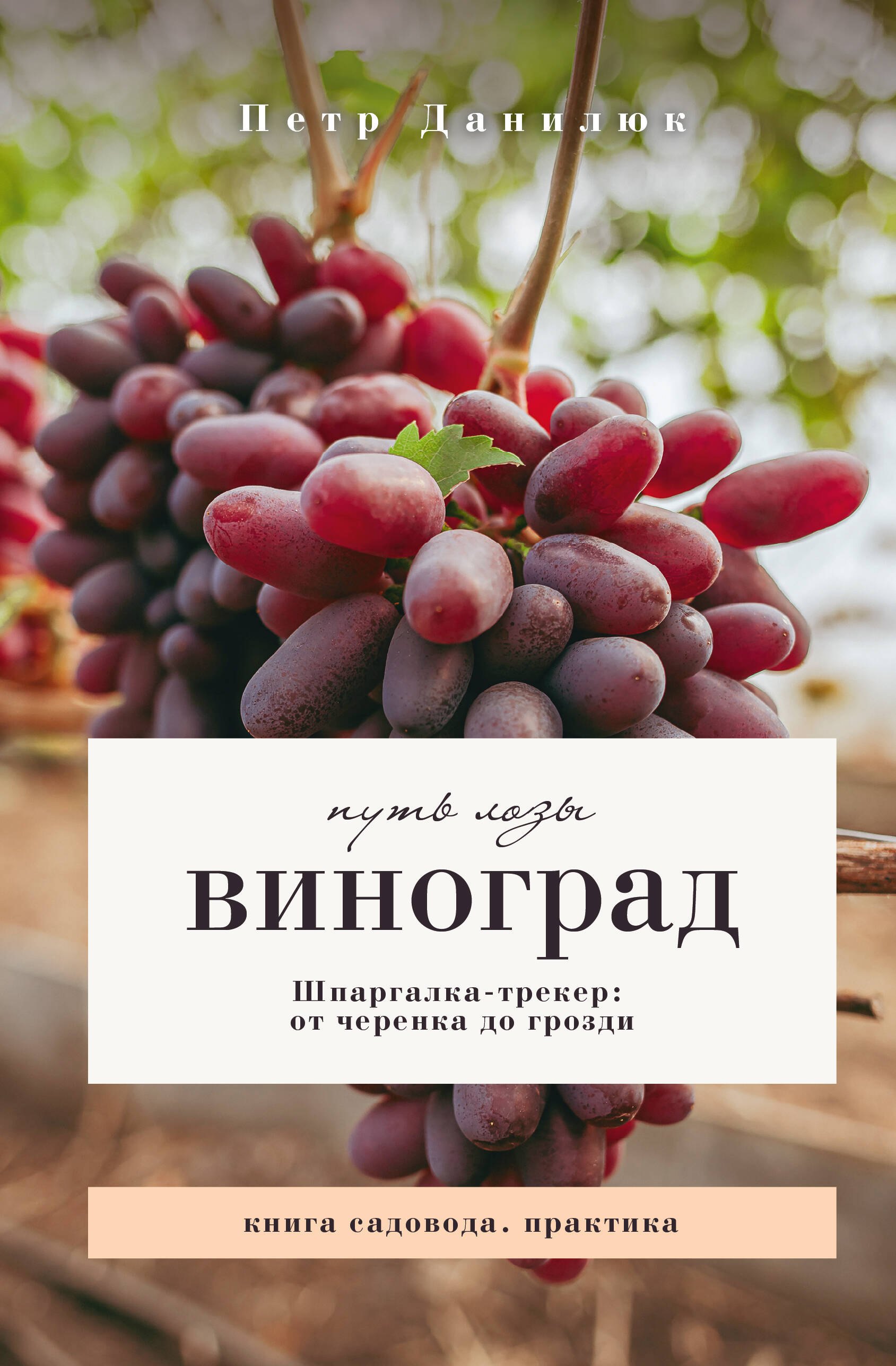 

Виноград. Путь лозы. Шпаргалка-трекер: от черенка до грозди