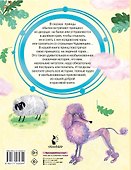 Как принц нашел свою принцессу - 1