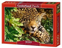 Пазл 1000 С-102051 Леопард (Castorland)