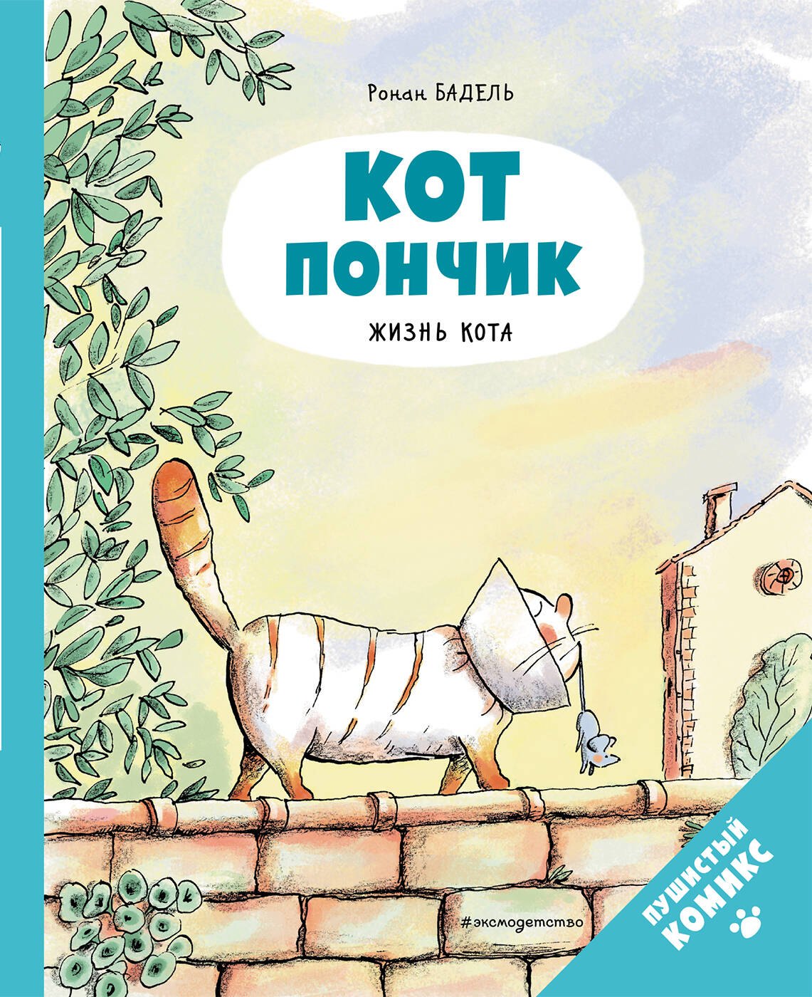 

Кот Пончик. Жизнь кота
