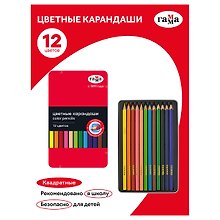 Карандаши цветные 12 цветов, квадратные, заточенные., в металлическом пенале, Гамма