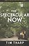 The Spectacular Now - 0