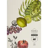 Папка для пастели «Graf'Art», 25 листов, А3