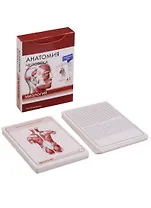 Анатомия человека. Миология. Интенсивный курс (43 карт)