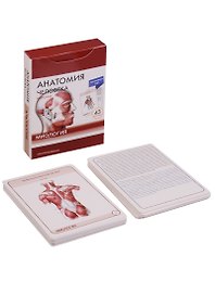 Анатомия человека. Миология. Интенсивный курс (43 карт)