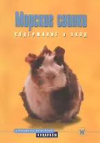 Морские свинки. Содержание и уход (цвет)