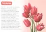 Обучающая книга «Цветы» - 1