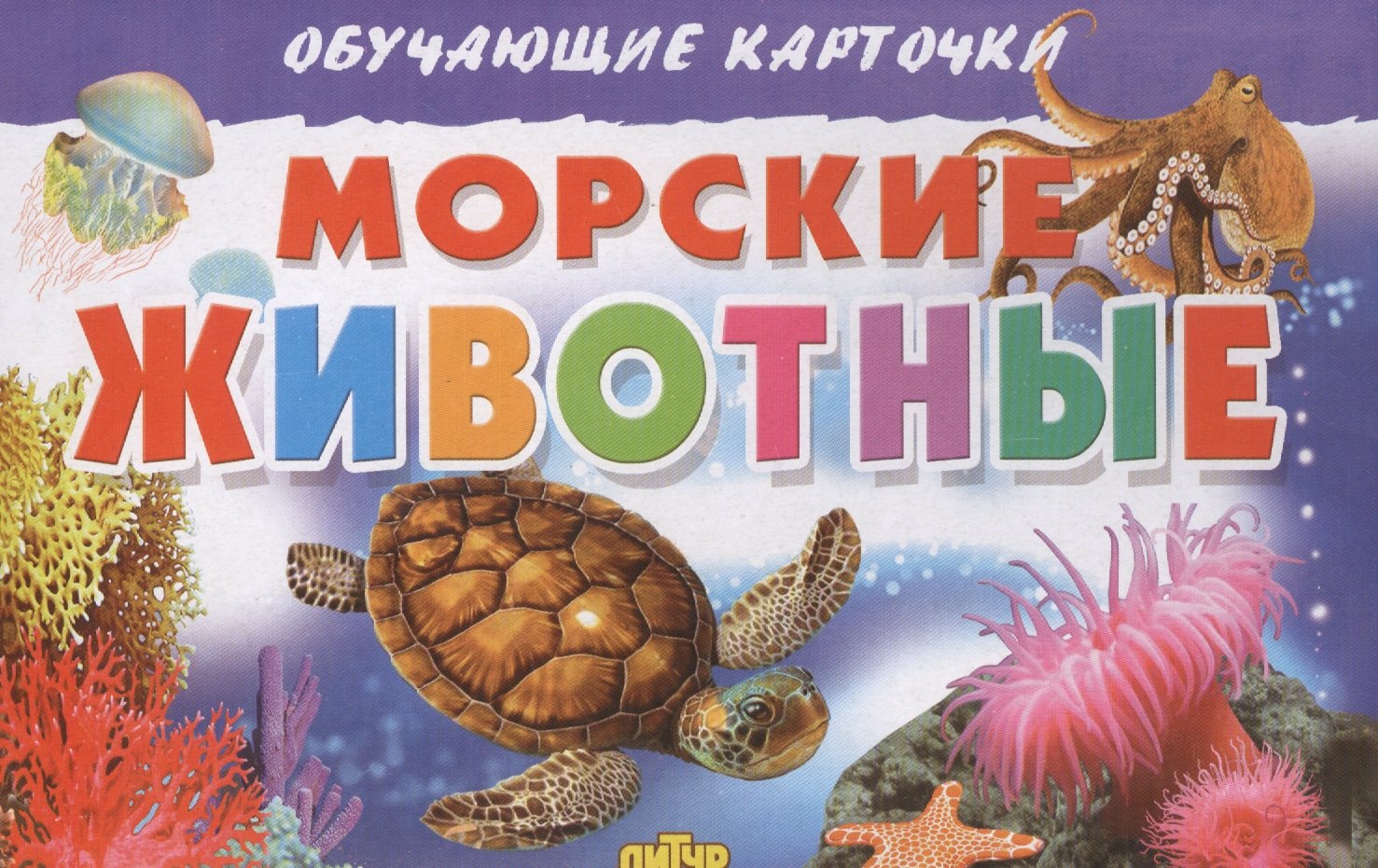 

Обуч.карт.Морские животные