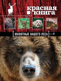 Красная книга. Животые нашего леса