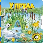 У пруда - 0