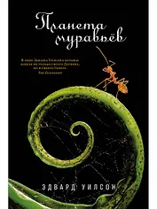 Планета муравьёв